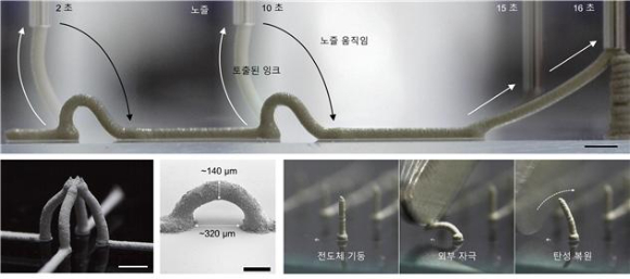 소프트 전도체의 전방위 삼차원 프린팅 과정 및 실제 프린팅한 다양한 하부 지지층 없는 자유형상 삼차원 구조. (위) 유화액 기반의 잉크를 이용해 기존에는 제작이 어려웠던 하부 지지층 없는 자유 형상의 삼차원 구조를 갖는 소프트 전도체를 프린팅하는 모습. (아래 왼쪽) 전방위 삼차원 프린팅을 이용해 제작한 다양한 형상의 소프트 전도체..(아래 오른쪽) 소프트 전도체의 부드러움과 탄성력을 보여주는 사진. [사진=과학기술정보통신부]