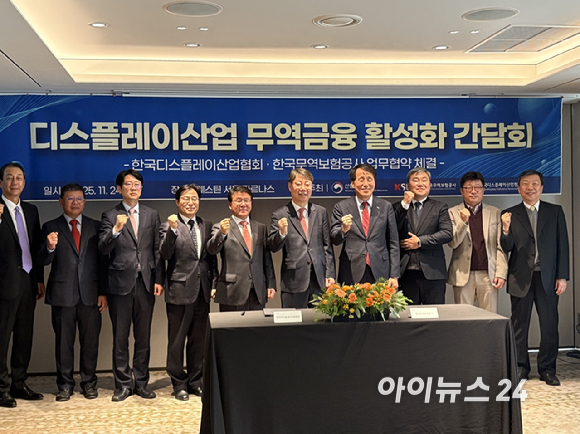 이승우 한국디스플레이산업협회 부회장 [사진=권서아 기자]