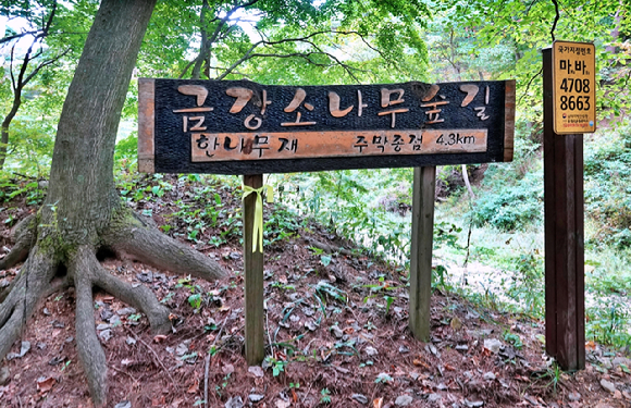 12령을 걷는 사람들. [사진=박성기 작가 ]