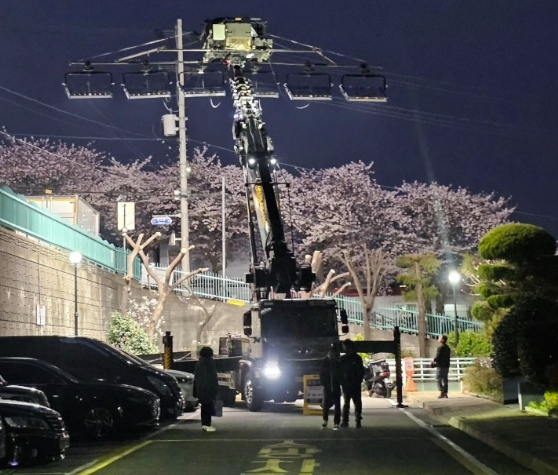 드라마 촬영으로 통제된 벚꽃길 [사진=SNS 캡처]