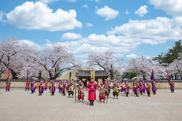 신라고취대가 지난해 3월 벚꽃시즌을 맞아 분황사에서 야외 특별공연을 펼치고 있다. [사진=경주시청]