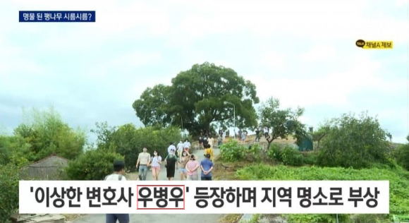  [사진=채널A 보도 화면 캡처]