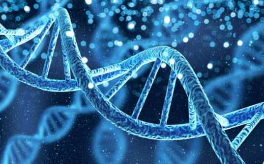 동아시아인을 대상으로 한 대규모 유전 분석에서 키가 클수록 심방세동과 자궁내막증 위험이 증가하는 경향이 확인됐다. 사진은 AI 생성 이미지로, 본 기사 내용과 무관. [사진=챗GPT]