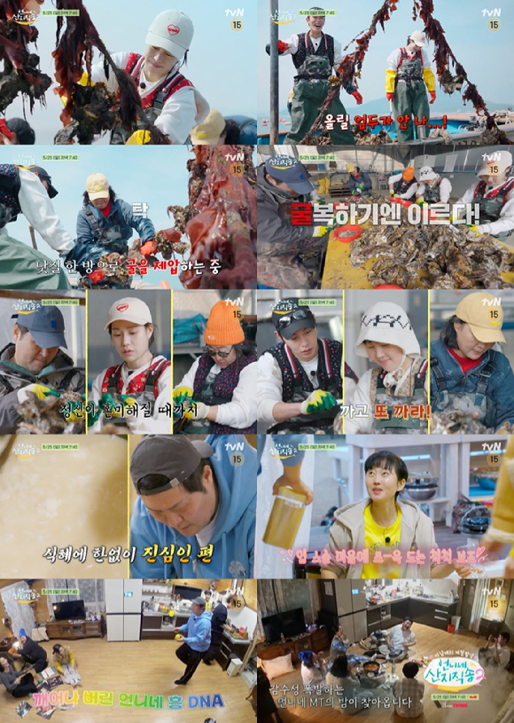 '언니네 산지직송2' 사 남매가 대망의 굴 조업을 시작한다. [사진=tvN]