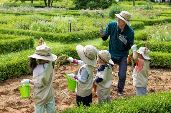 켄싱턴호텔 평창 프렌치 가드닝 스쿨에서 채소 수확 체험을 하는 아이들. [사진=켄싱턴호텔앤리조트]