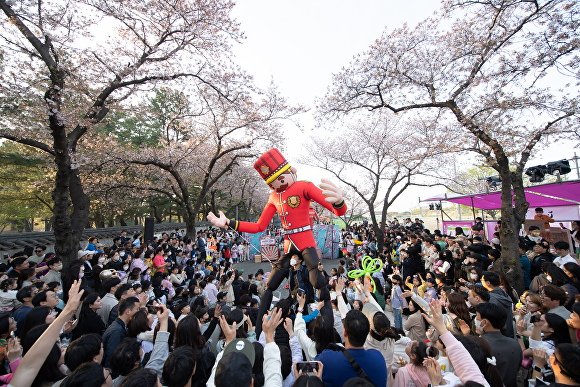 지난해 경주벚꽃축제 모습. [사진= 경주시청]