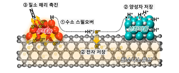 산화바륨 조촉매의 루테늄 촉매 활성 증진 기작을 나타내는 모식도. [사진=KAIST]