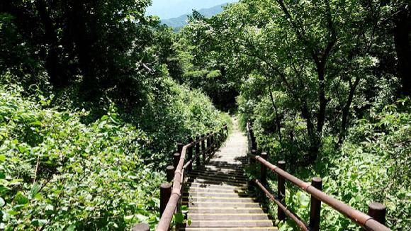 하산길. [사진=박성기 작가]