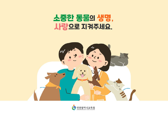 인천시교육청, 동물학대 예방교육 홍보자료 [사진=인천시교육청]