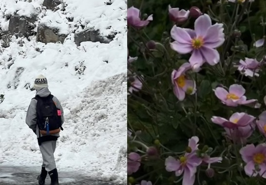 이휘재 문정원 [사진=문정원 인스타그램]