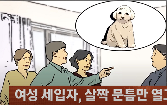 동의 없이 몰래 개를 키우면서 집을 쓰레기장으로 만든 세입자와의 재계약을 거부하고 싶다는 집주인의 사연이 전해졌다. [사진=JTBC]