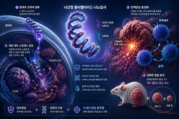 암세포 스스로&lsquo;여기 있다&rsquo;고 알리면 면역&middot;유전자 치료제를 투입하는 새로운 암 치료법이 제시됐다. [사진=KAIST]