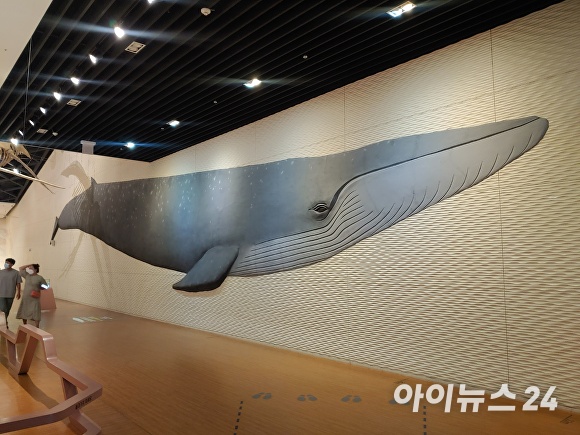 전시실 벽 한쪽에 그려진 대왕고래는 사진을 찍을 수 있는 포토존 배경으로 인기를 모으고 있다.  [사진=이숙종 기자]