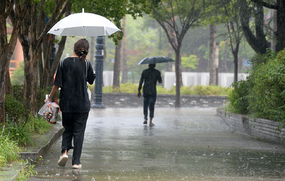 전북 전주시 전북대학교에서 학생들이 우산으로 비를 피하며 교정을 지나고 있다. [사진=뉴시스]