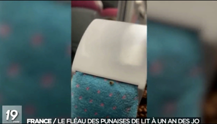 내년 7월 올림픽을 앞둔 프랑스 파리에서 빈대가 출몰한다는 신고가 잇따르면서 당국이 탐지견을 투입해 조사에 나섰다. 사진은 프랑스 기차 좌석에서 포착된 빈대 모습. [사진=벨기에TV]