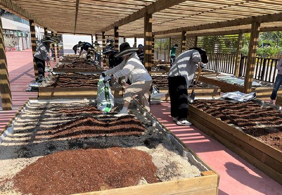 반려식물 스튜디오 [사진=산림청]