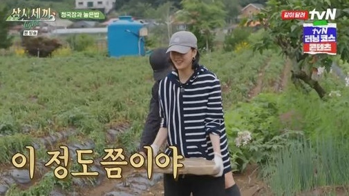 삼시세끼 [사진=tvN]