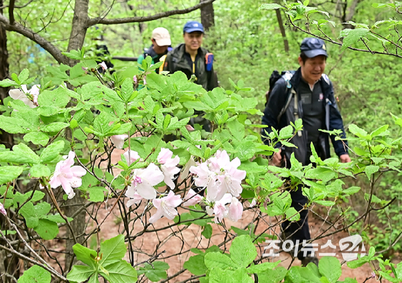 20일 오전 서울 강북구 우이동 만남의 광장에서 열린 산악인 오은선 대장과 함께하는 '제9회 희망찾기 등산·트레킹 교실'에서 참가자들이 북한산을 오르고 있다. [사진=곽영래 기자]