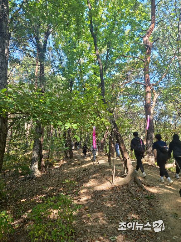 17일 서울 북한산국립공원에서 진행된 '스타 더윈드와 함께 하는 팬트레킹-제14회 희망찾기 등산&middot;트레킹 교실' 참가자들이 트레킹에 임하고 있다. [사진=김양수 기자]