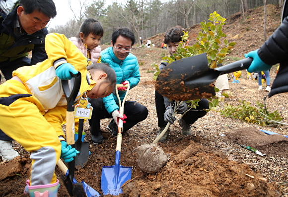 24일 아이들이 동백나무 한 그루를 땅에 심고 있다. [사진=강진군]