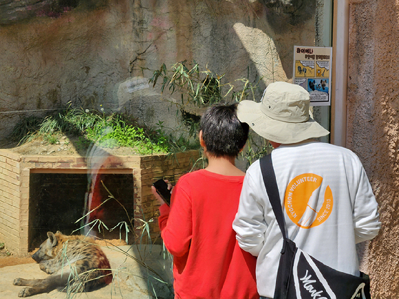 지난 28일 교촌에프앤비 '바르고 봉사단'이 서울 어린이대공원에서 구산초등학교 특수학급 학생들과 즐거운 체험 활동을 진행하고 있다. [사진=교촌에프앤비]