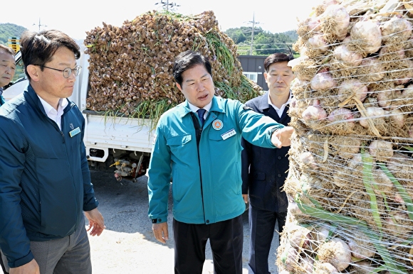 공영민 고흥군수(오른쪽)가 풍양농협 공판장에 집하된 마늘을 보며 도매시장 마늘가격 동향을 청취하고 있다 [사진=고흥군]