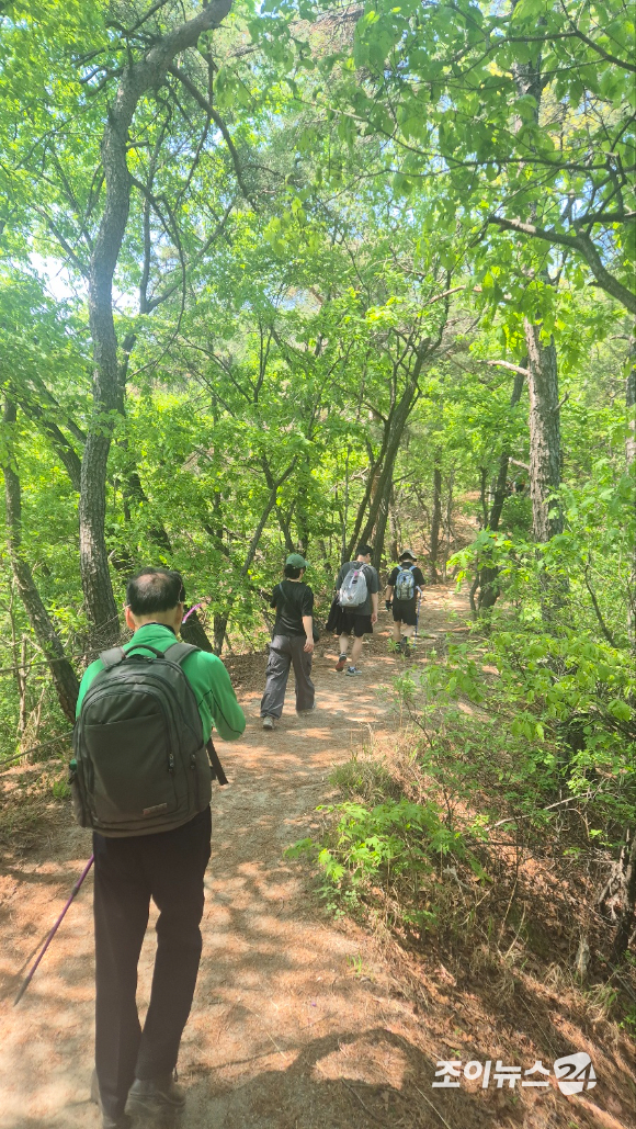 25일 서울 강북구 우이동 만남의 광장에서 열린 산악인 오은선 대장과 함께하는 '제13회 희망찾기 등산&middot;트레킹 교실' 참가자들이 북한산 진달래 능선을 걷고 있다. [사진=김양수 기자]