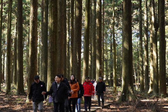 김인호 산림청장이 국립산림과학원 한남사려니오름숲을 찾아 산림경영 현장을 점검하고 있다 [사진=산림청]