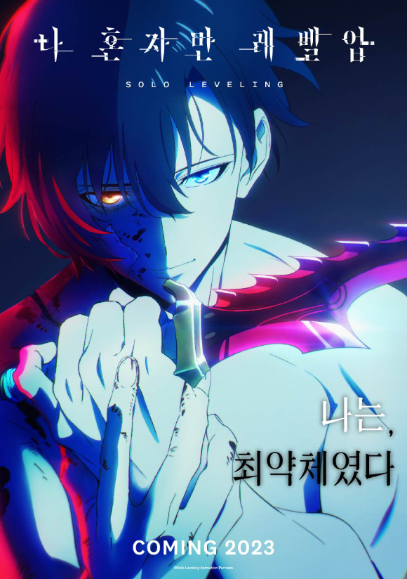 디앤씨미디어가 '나 혼자만 레벨업'의 애니메이션 제작을 공식화했다. [사진=디앤씨미디어]