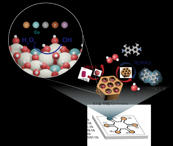 밀도범함수이론(DFT) 계산을 통해 예측된 코발트를 도핑한 메조다공성 산화세륨이 5개의 산화효소를 적재해 과산화수소를 포함한 6개 물질을 동시에 검출할 수 있는 종이센서를 개발했다. [사진=카이스트]