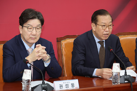 국민의힘 권영세 비상대책위원장이 28일 국회에서 열린 비상대책위원회의에서 발언하고 있다. [사진=연합뉴스]