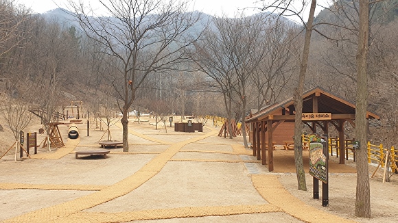 대구광역시 수성구 대흥동에 소재한 '유아숲체험원' 전경  [사진=수성구]