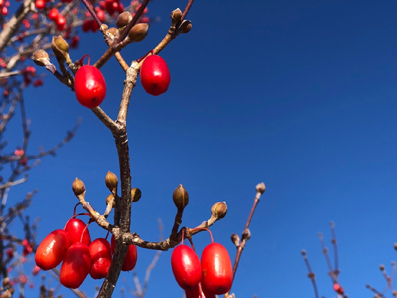 눈이 뻑뻑하고 침침할 때 도움을 줄 수 있는 물이 전문가에 의해 공개됐다. 사진은 본 기사 내용과 무관. [사진=Seal Beach Eyes]
