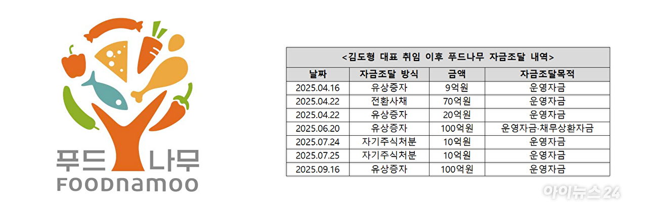 김도형 대표 취임 이후 푸드나무 자금조달 내역 [사진=금융감독원 전자공시시스템]