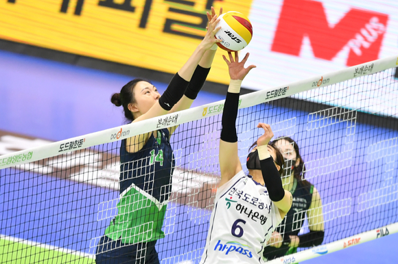 지난 1일 수원체육관에서 열린 현대건설과 한국도로공사와의 경기 5세트 초반 강주희 심판이 판정을 번복하는 모습 [사진=한국배구연맹(KOVO)]