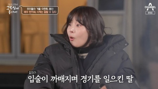 고두심이 좋아서 [사진=채널A]