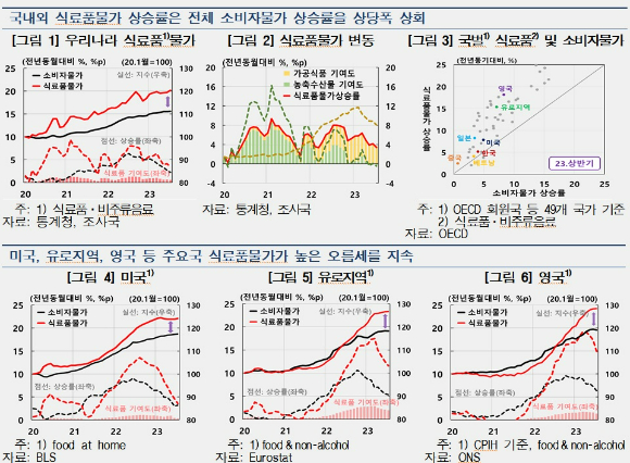 국내외 식료품 물가 상승률과 전체 소비자물가 상승률 비교 [사진=한국은행]