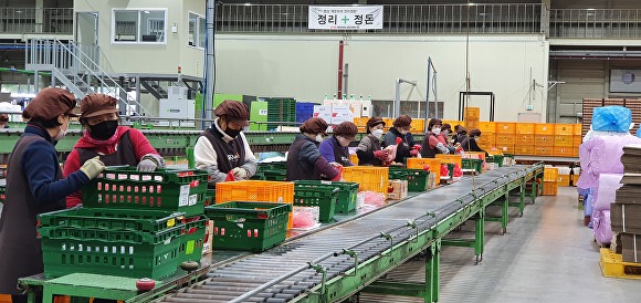 충주거점산지유통센터가 전국 과수 거점 APC 경영 평가에서 1위를 차지했다. [사진=충주시]