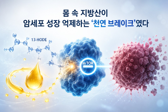 지방산이 암세포 성장을 억제하는 &lsquo;천연 브레이크&rsquo; 역할을 하는 것으로 파악됐다. [사진=KAIST]