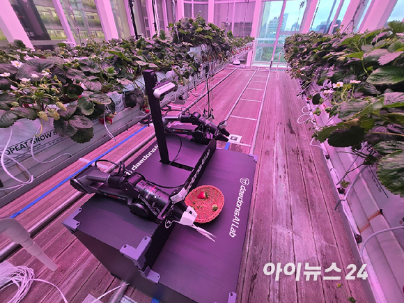 최준기 대동에이아이랩 대표가 17일 서울 서초구 대동 서울사무소에서 열린 미디어 간담회에서 발언하고 있다. [사진=최란 기자]