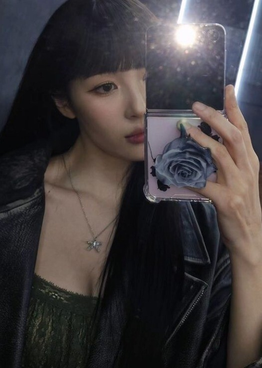 선미 [사진=선미 SNS]