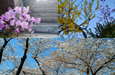 다음 주는 기온이 크게 올라 평년보다 2~5도 높을 것으로 보인다. [사진=정종오 기자]