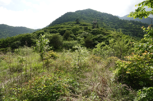 지리산 [사진=박성기 작가]