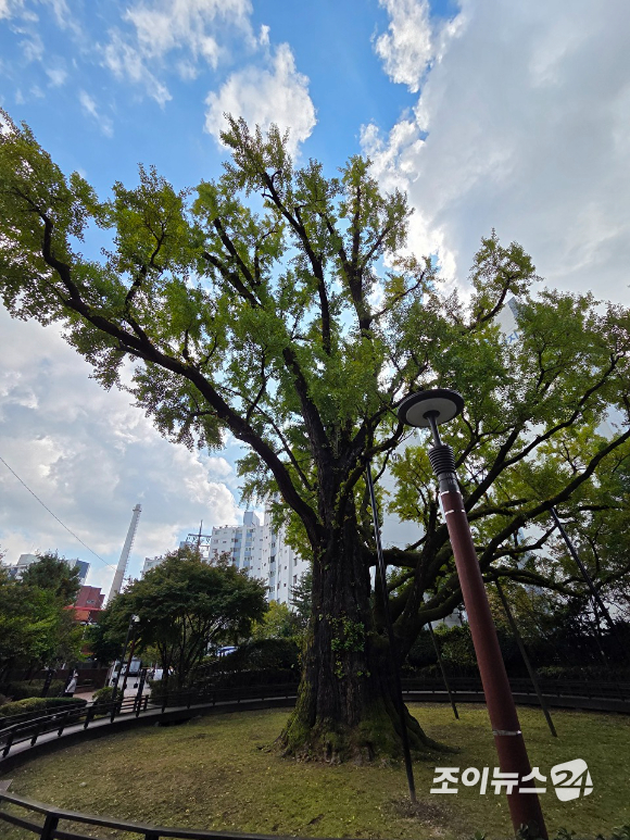 25일 오전 9시 북한산 국립공원 우이분소(백운천 휴게공간)에서 고품격 엔터테인먼트 경제지 조이뉴스24(대표 이창호)가 개최하는 '브브걸 민영과 함께 하는 팬트레킹-제12회 희망찾기 등산&middot;트레킹 교실'(이하 트레킹교실)'이 열렸다. [사진=이미영 기자]