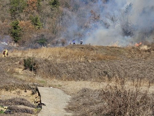 전남 해남 산불 [사진=산림청]