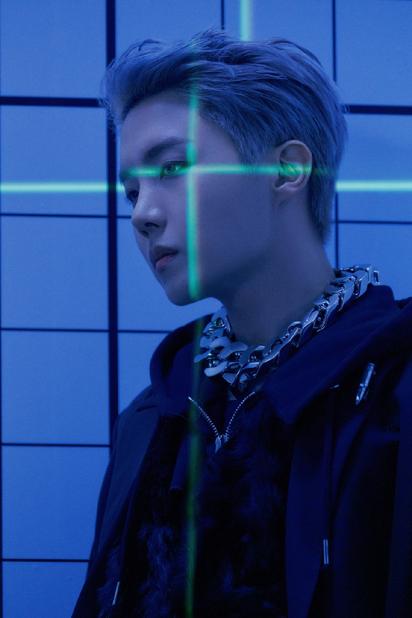 세븐틴 콘서트 포스터 [사진=플레디스엔터테인먼트]