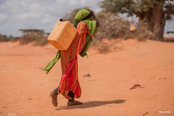소말리아 등 동부 아프리카는 가뭄으로 식량난이 심각한 것으로 나타났다. [사진=WMO]