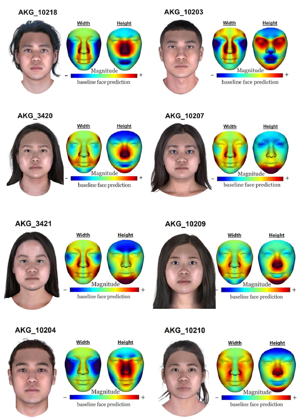 컴퓨터 프로그램으로 복원된 8명의 삼국시대 한국인 게놈 기반 얼굴 몽타주 예측 결과. 오른쪽 위 2명이 나머지 6명보다 상대적으로 더 조몬계(선사시대 일본인) 유전자를 더 많이 갖고 있었다. [사진=UNIST]
