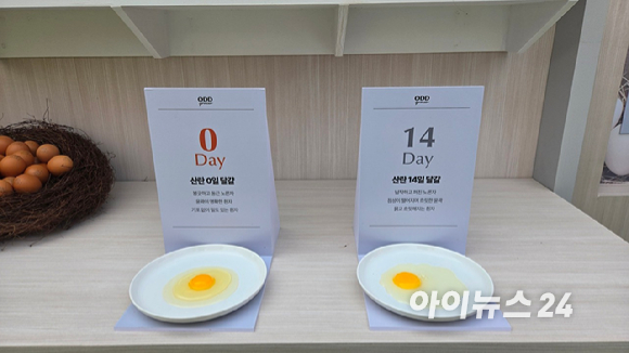 26일 전북 익산 하림 퍼스트키친에서 개막한 NS푸드페스타 2025 in 익산 행사 첫날 관람객들로 북적이고 있다. [사진=진광찬 기자]