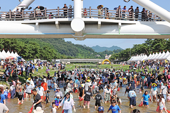 2023괴산고추축제 프로그램 고추물고기를 잡아라 모습. [사진=괴산군]